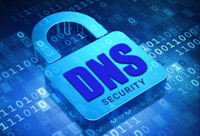 Private DNS: